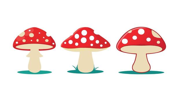 Three red mushrooms with white spots, cartoon-style illustration, standing on green grass patches, with beige stems and simple shapes. cpp Copy Edit vector