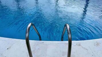 Experience a serene pool view that features elegant palm trees an urban backdrop, and calm, inviting blue waters video