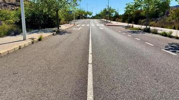 A picturesque view of a long deserted country road beautifully lined with trees beneath a clear blue sky video