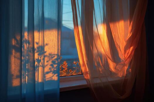 A window with curtains and a tree in the background photo