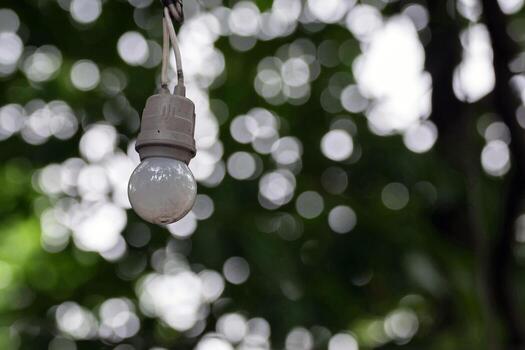 A light bulb hanging from a string in front of trees photo