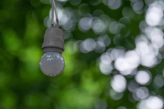 A light bulb hanging from a string in front of a green background photo
