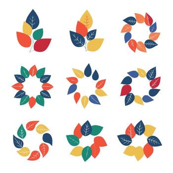 Collection of colorful leaf designs and patterns vector