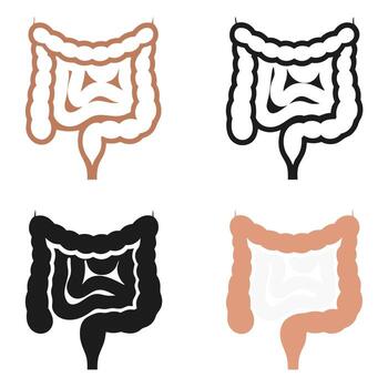 Four different artistic renderings of the human colon isolated on white background vector