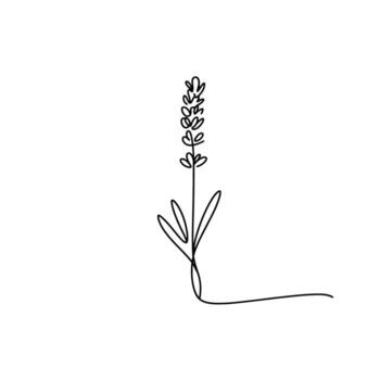 Elegant Lavender Stem in Simple Line Art A Minimalist Botanical Design with a Delicate Touch of Nature vector