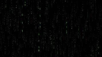 verde binário código - números queda baixa - matriz efeito video