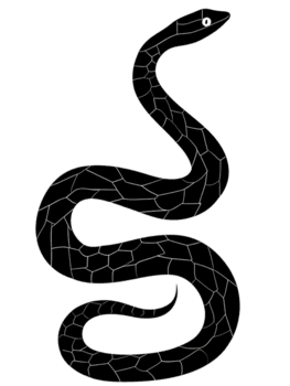 Preto serpente isolar em transparente fundo png