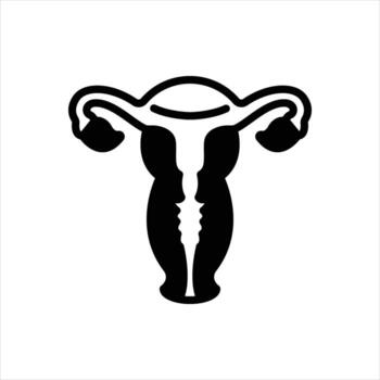Solid icon womb vector