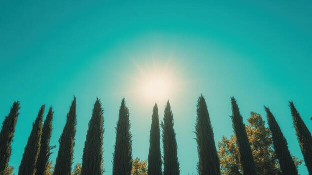 alto ciprés arboles en contra un vibrante cielo foto