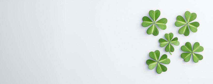 Fresh green clover leaves arranged on light background, symbolizing luck photo