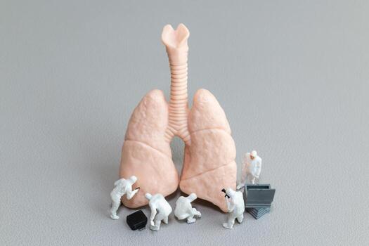 Microscopic Team Analyzing Lung Health and Function photo
