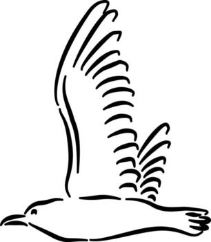 Flying seagull line art for eco branding poster design website headers labels minimal beach graphics vector