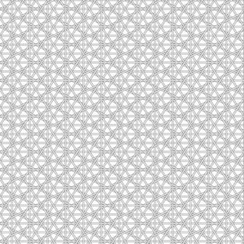 Black Line Diagonal Caning Lattice Pattern on White Background vector