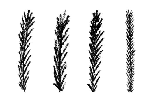 branch Set of hand drawn spruce branch clipart. Twig of coniferous tree doodle. Christmas and winter design element vector