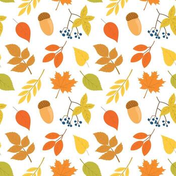 sin costura modelo con vistoso otoño hojas, bayas y bellotas modelo de follaje, incluso arce, roble, abedul, serbal, castaña y bellotas plano estilo. vector