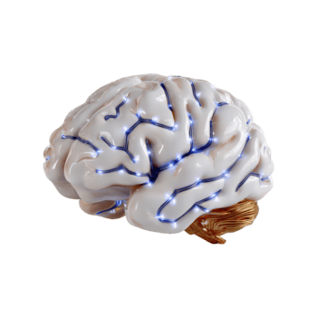 digitale cervello visualizzazione con raggiante neurale connessioni e percorsi png