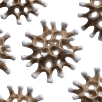 resumen patrones de microscópico organismos en ligero y sombra png