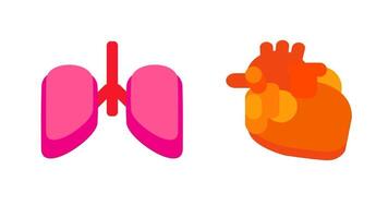 un illustration montrant poumons et cœur travail ensemble, symbolisant respiratoire-circulatoire système synchronisation et oxygénation couler video