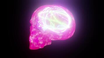 viola rosa cranio con neon cervello sfondo video