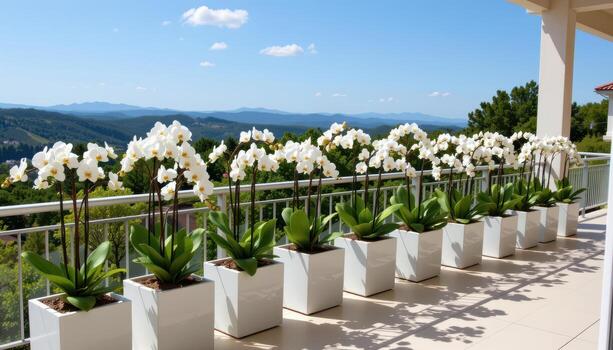 un formación de blanco orquídeas en moderno cuadrado contenedores líneas un balcón con un expansivo ver de distante sierras. foto