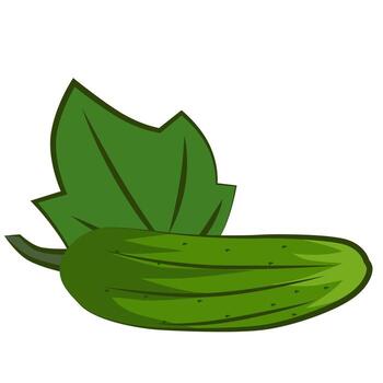 Drawing of a cucumber with a leaf. Healthy eating. Bright cartoon style drawing of a cucumber. vector