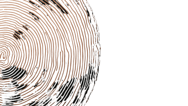 abstrakt koncentrisk cirklar med unik organisk textur, skapande ett elegant visuell mönster på ett png