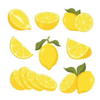 various cuts of fresh lemons vector