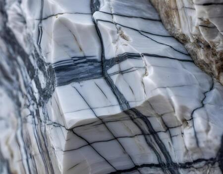 Close-up view of a white and black marble rock with intricate veining photo