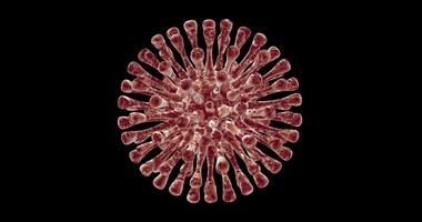 coronavirus molécula torneado. lazo video