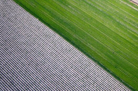 The Sharp Diagonal Line Between Two Farm Fields. Concept The geometry of the landscape. photo