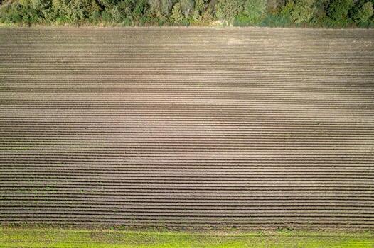 Aerial view of a rectangular field with geometric rows. Geometric pattern. photo
