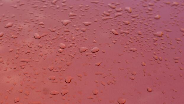 Close-up shot of small raindrops or water droplets on a reddish surface, creating a beautiful and abstract texture. photo