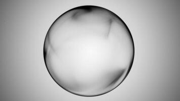 looping animazione di un' nero plasma energia sfera con fluente textures su un' bianca sfondo. futuristico digitale globo con morbido movimento e raggiante bordo. video