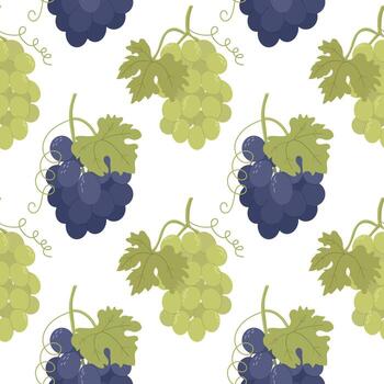 Pattern of green and purple grapes vector