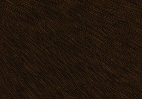 A brown fur texture with a dark brown color photo