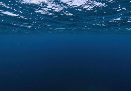 An underwater view of the ocean floor photo