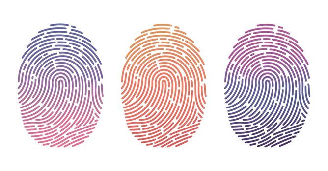 Gradient Fingerprint Collection for Secure Identification and Biometric Authentication Systems vector
