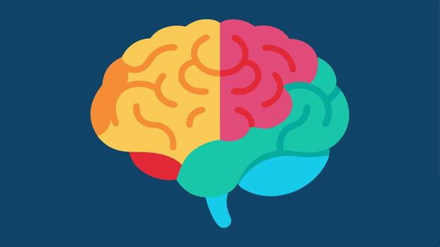 cerebro imagen un detallado sección de el cerebro desde un mri escanear presentando brillante colores a ilustrar regiones conectado a cognitivo salud y longevidad.. vector