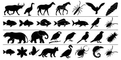 negro silueta ilustraciones representando un formación de diverso animales incluso mamíferos aves pescado insectos y acuático criaturas vector