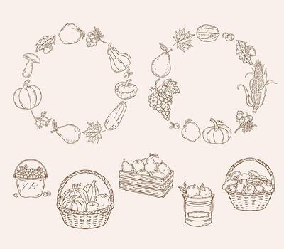 Set of autumn harvest illustrations featuring fruits, vegetables, and leaves arranged in circular wreaths. Hand drawn outline style with rustic baskets and crates vector