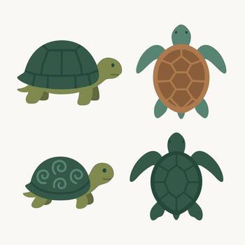 Cute Flat Illustration of a Turtle with Different Poses and Shells vector