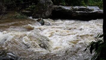 moesson regent overstroming de Woud verdieping en overloop stromen, draaien eenmaal duidelijk wateren in snel, modderig stromen door wild terrein video