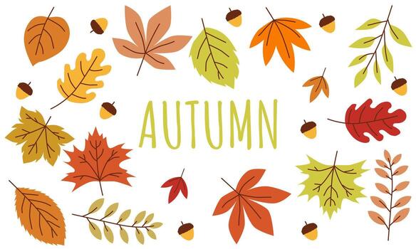 Abstract fall background with autumn foliage and minimal aesthetic style vector