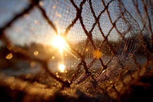 Sunset through a fishing net photo