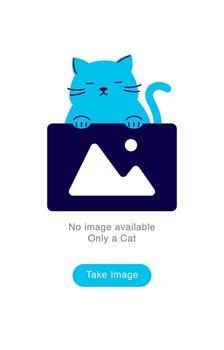 Empty State Illustration. Cat Holding Image Icon from Above. No Image Available vector