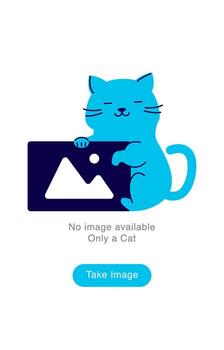 Empty State Illustration. Cat Holding Image Icon. No Image Available vector