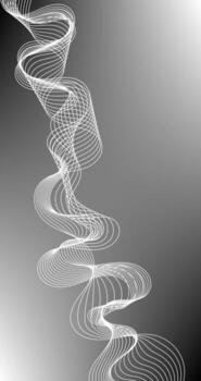 Abstract background with wavy lines Black and white Pattern vector