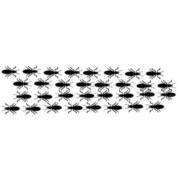 illustration of a termite colony moving in neat rows, moving in two different directions, on a white background. Wood eating animals. vector