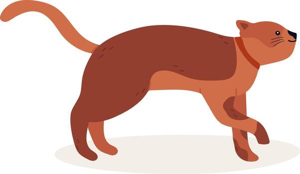 Playful brown cat wearing a collar walking happily and curiously, exploring its surroundings with a cheerful expression, minimalist illustration on a white background vector