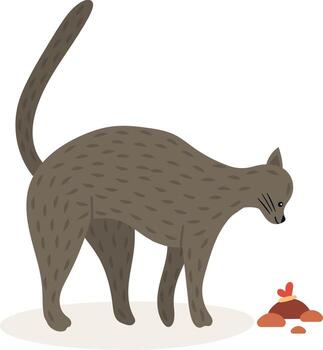 Gray cat arching its back and lifting its tail while examining its poop with a red ribbon on it, on a white background, in a funny and curious pet care concept vector